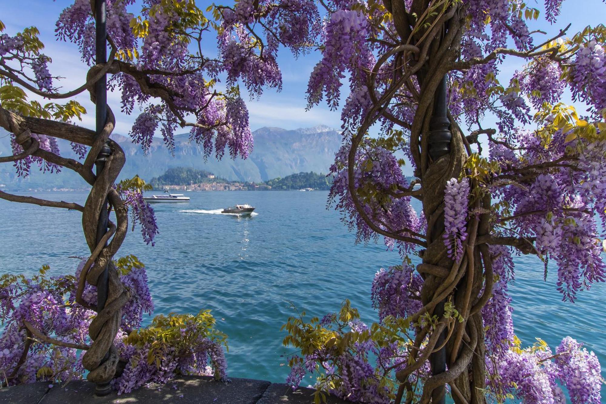 Villa Lucia Grande Varenna Exteriör bild